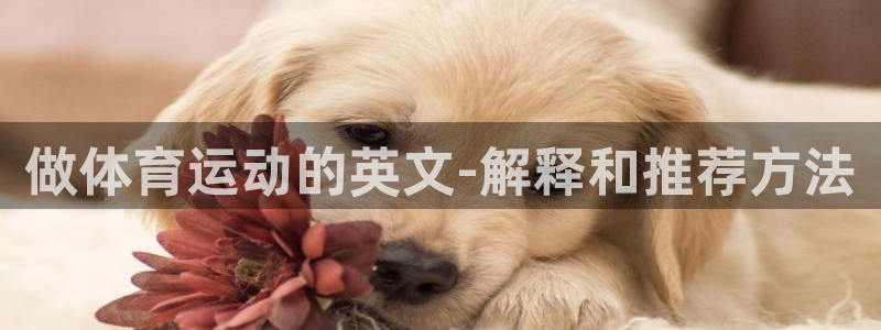 中欧体育kok：做体育运动的英文-解释和推荐方法