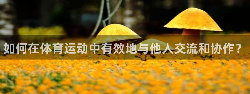 kok中欧体育登录：如何在体育运动中有效地与他人交流和协作？