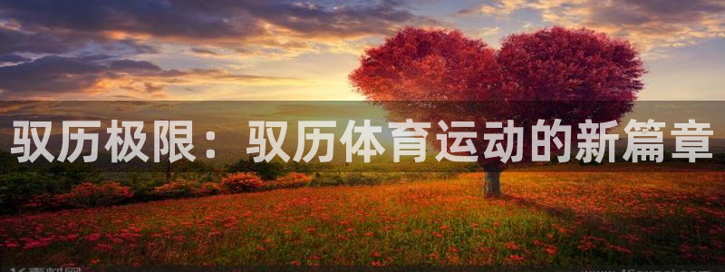 中欧体育下载：驭历极限：驭历体育运动的新篇章