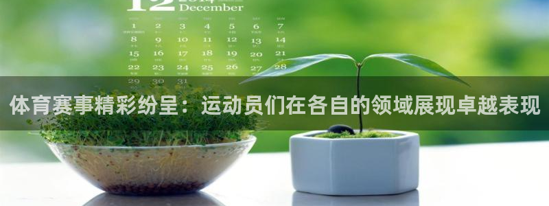 中欧体育zoty下载：体育赛事精彩纷呈：运动员们在各自的领域展现卓越表现