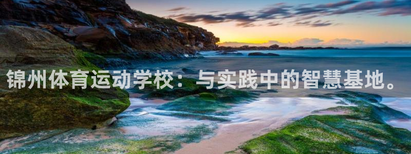 中欧体育zoty下载