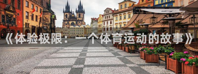 kok新版中欧体育：《体验极限：一个体育运动的故事》