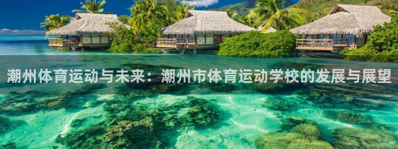 kok中欧体育：潮州体育运动与未来：潮州市体育运动学校的发展与展望